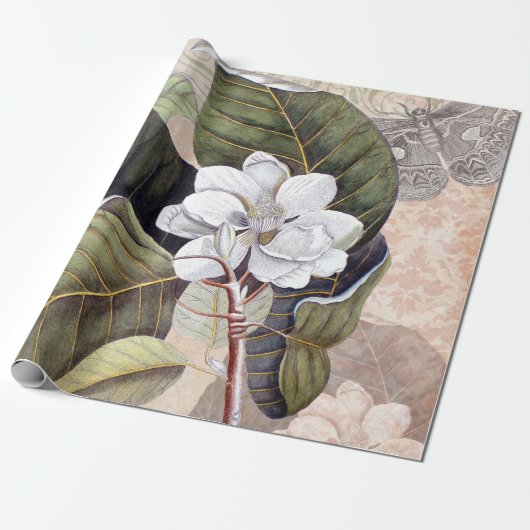 Magnolia Elegante Botanische Collage Cadeaupapier (Uitgerold)