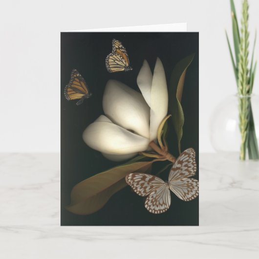 magnolia en butterflies1- notakaart kaart (Voorkant)