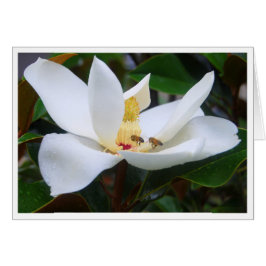 Magnolia en Honeybees Card
