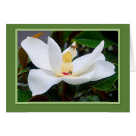 Magnolia en Honeybees Green Lijst Kaart