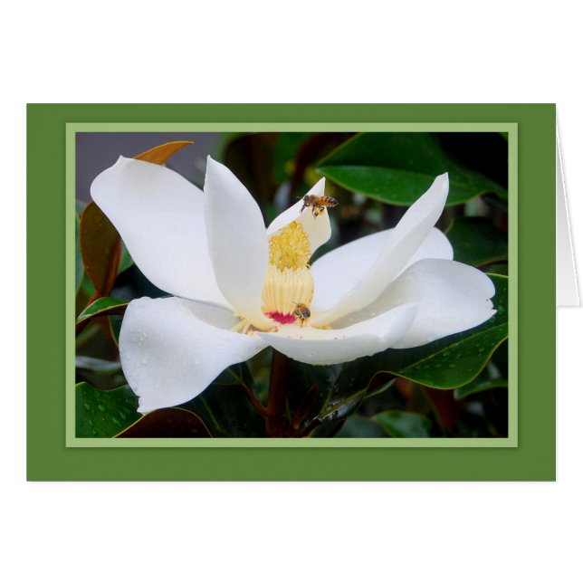 Magnolia en Honeybees Green Lijst Kaart (Voorkant Horizontaal)