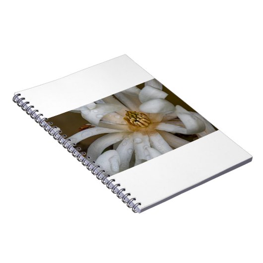 Magnolia étoilé notitieboek (Rechterzijde)