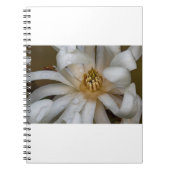 Magnolia étoilé notitieboek (Voorkant)