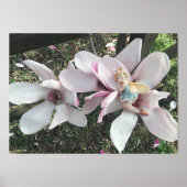 Magnolia Fairy Folie Afdrukken (Voorkant)