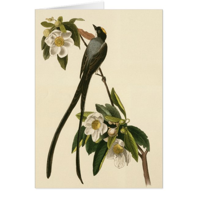  Magnolia Floral Bird Flycatcher Blank Card (Voorkant)