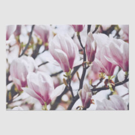 Magnolia Floral Botanical Blossom  Antiek Tissuepapier