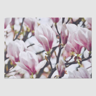 Magnolia Floral Botanical Blossom  Antiek Tissuepapier