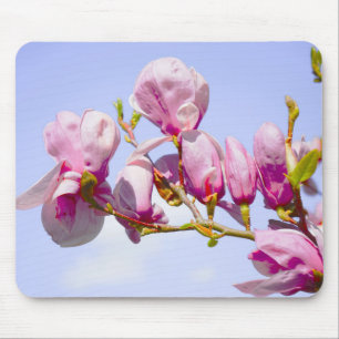 Magnolia Floral Botanical Blossom Chic Mou Muismat