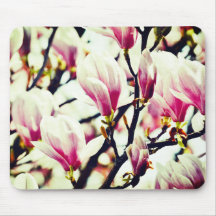 Magnolia  Floral Botanical Blossom Chic