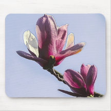 Magnolia  Floral Botanical Blossom Chic