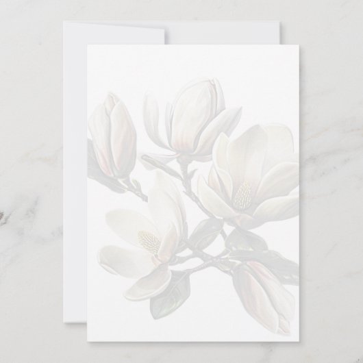 Magnolia Floral Memorial Funeral Service Card Kaart (Achterkant)