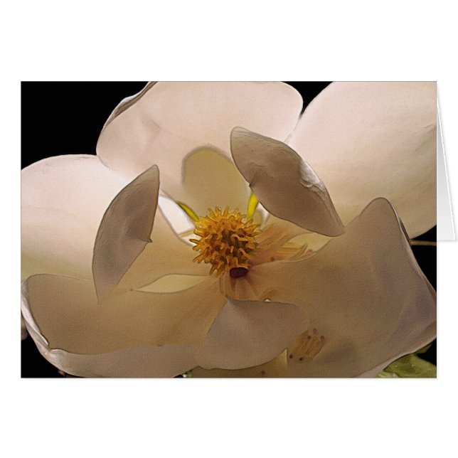 Magnolia Flower (Voorkant Horizontaal)