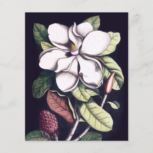 Magnolia Flower Bedankt papieren blad (Voorkant)