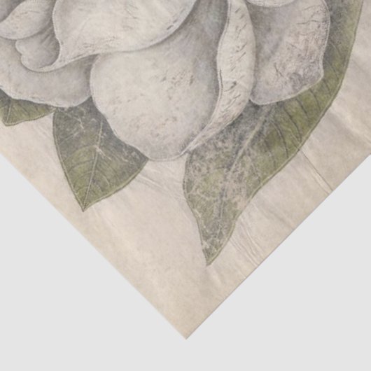 Magnolia Flower Botanical Decoupage Tissuepapier (Detail)