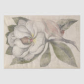  Magnolia Flower Botanical Decoupage Tissuepapier (Voorkant)