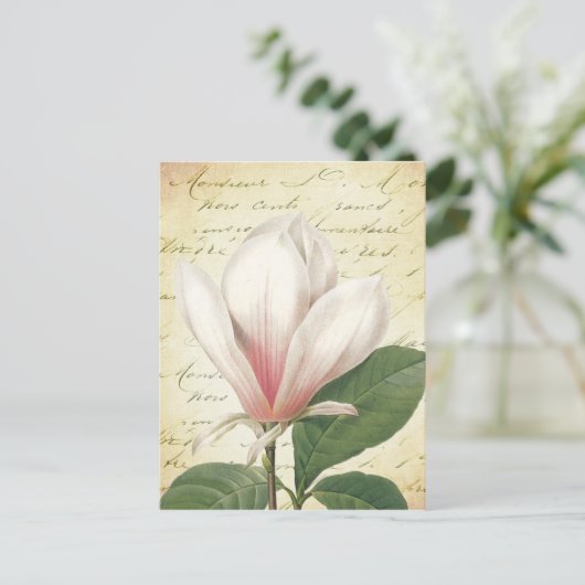 Magnolia Flower Botanisch Briefkaart (Staand voorkant)