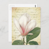 Magnolia Flower Botanisch Briefkaart (Voorkant / Achterkant)