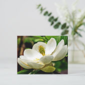 Magnolia Flower Close Briefkaart (Staand voorkant)