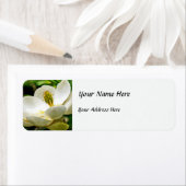 Magnolia Flower Close Etiket (Insitu)