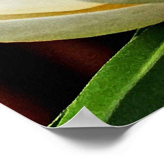 Magnolia Flower Close Poster (Hoek)