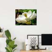 Magnolia Flower Close Poster (Thuiskantoor)