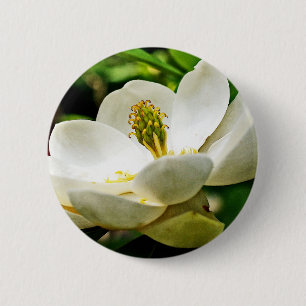 Magnolia Flower Close Ronde Button 5,7 Cm
