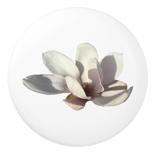 Magnolia Flower Keramische Knop (Voorkant)