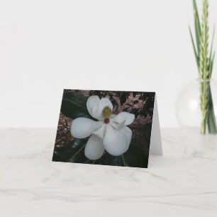 Magnolia Flower Photo Folded Note Kaart