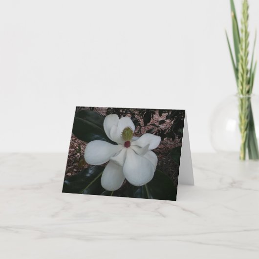 Magnolia Flower Photo Folded Note Kaart (Voorkant)