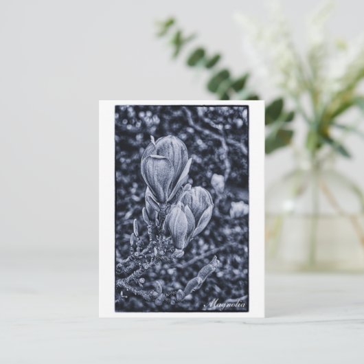 Magnolia Flower, Spring, Unfolding buds / Natuur Briefkaart (Staand voorkant)