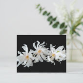 Magnolia Flower Trio Black Briefkaart (Staand voorkant)