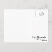 Magnolia Flower Trio Black Briefkaart (Achterkant)