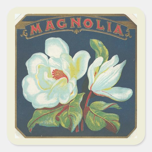  Magnolia Flower Vierkante Sticker (Voorkant)