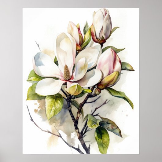 Magnolia Flowers Art Print Poster (Voorkant)