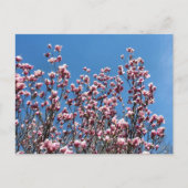 Magnolia Flowers Blue Sky Personalized Briefkaart (Voorkant)
