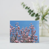 Magnolia Flowers Blue Sky Personalized Briefkaart (Staand voorkant)