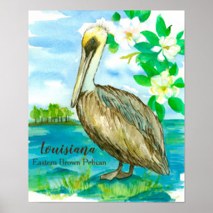 Magnolia Flowers Eastern Brown Pelican Poster