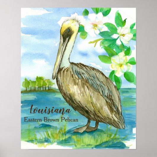 Magnolia Flowers Eastern Brown Pelican Poster (Voorkant)