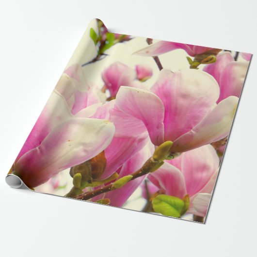 Magnolia Flowers Floral Botanical Blossom Chic Cadeaupapier (Uitgerold)