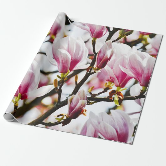 Magnolia Flowers Floral Botanical Blossom Chic Cadeaupapier (Uitgerold)