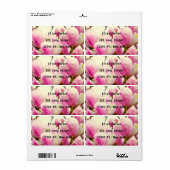Magnolia Flowers Floral Botanical Blossom Chic Etiket (Full Sheet)