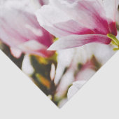 Magnolia Flowers Floral Botanical Blossom Chic Tissuepapier (Detail)