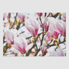 Magnolia Flowers Floral Botanical Blossom Chic Tissuepapier