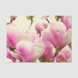 Magnolia Flowers Floral Botanical Blossom Chic Tissuepapier