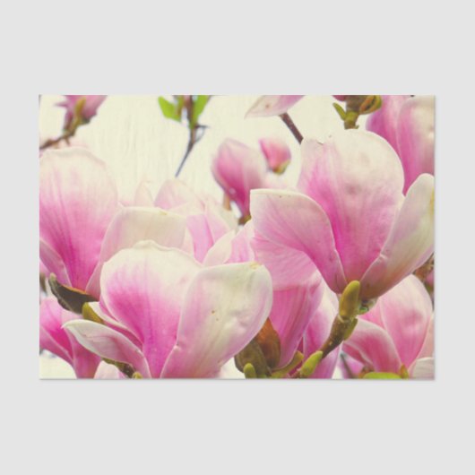Magnolia Flowers Floral Botanical Blossom Chic Tissuepapier (Voorkant)