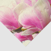 Magnolia Flowers Floral Botanical Blossom Chic Tissuepapier (Detail)
