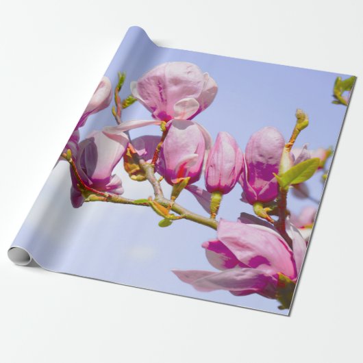 Magnolia Flowers Floral Botanical Blossom Chic WR Cadeaupapier (Uitgerold)