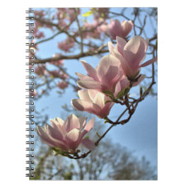 Magnolia Flowers in de lente Notitieboek