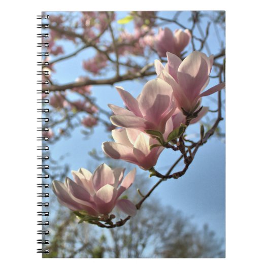 Magnolia Flowers in de lente Notitieboek (Voorkant)