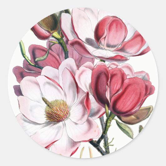 Magnolia Flowers Stickers (Voorkant)